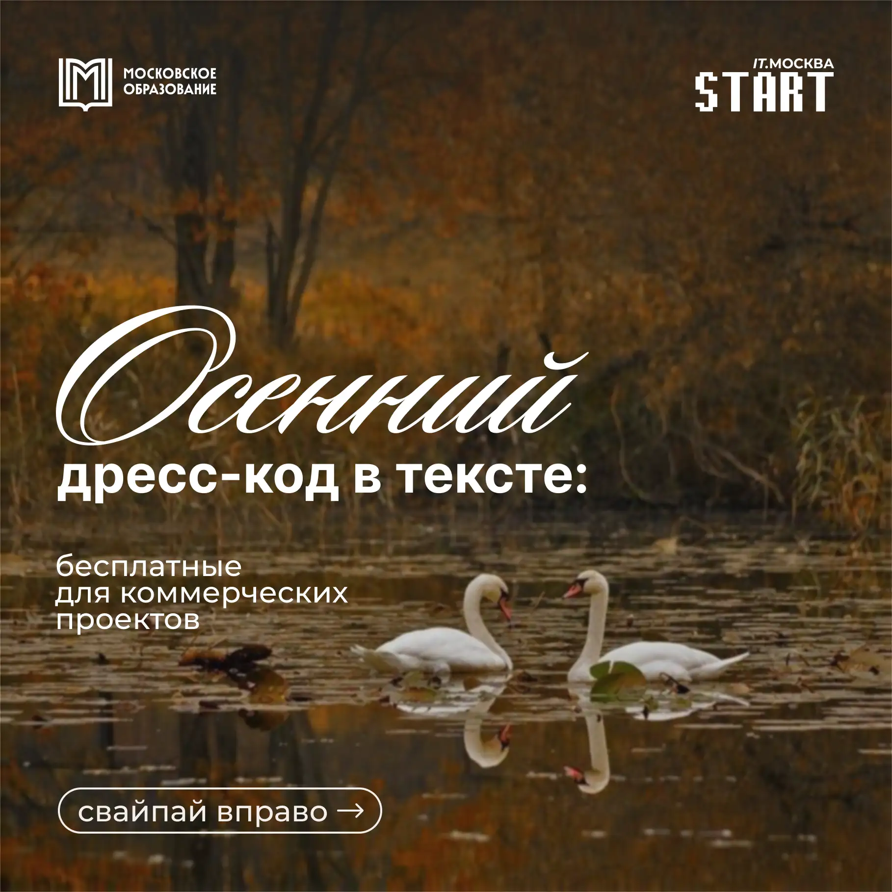 Сохраняй 🍁