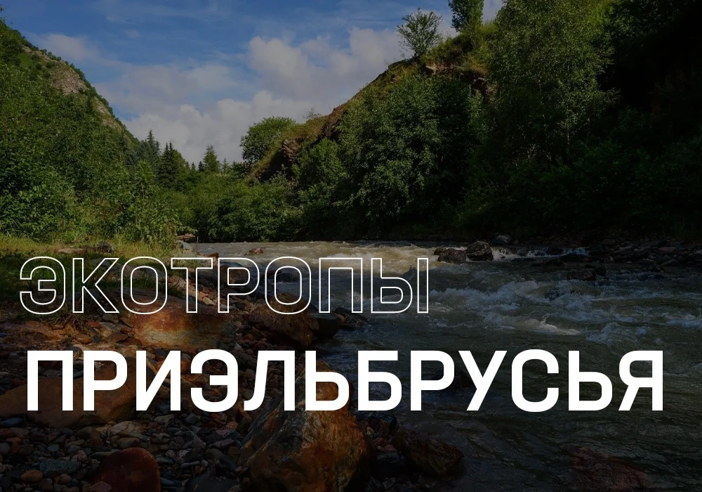 Пойдемте гулять по осеннему Приэльбрусью! 👟