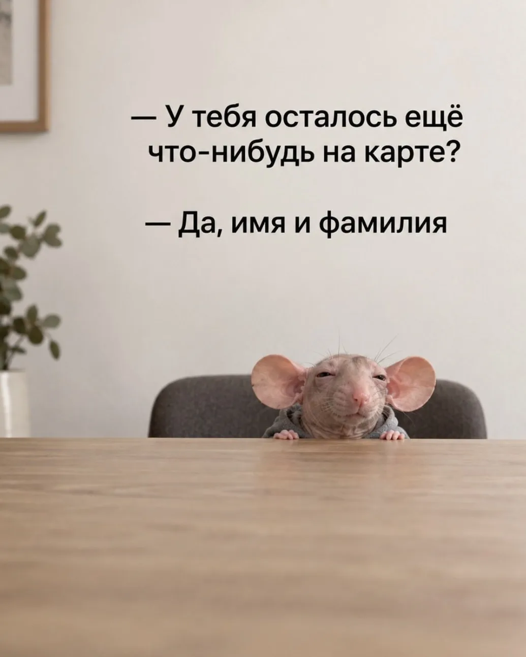 Если на вашей карте остались только имя и фамилия, значит,  пора поделиться покупками в...