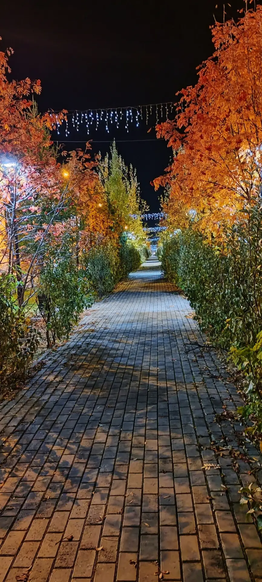 🍁 ОСЕННИЙ АНГАРСК🍁
