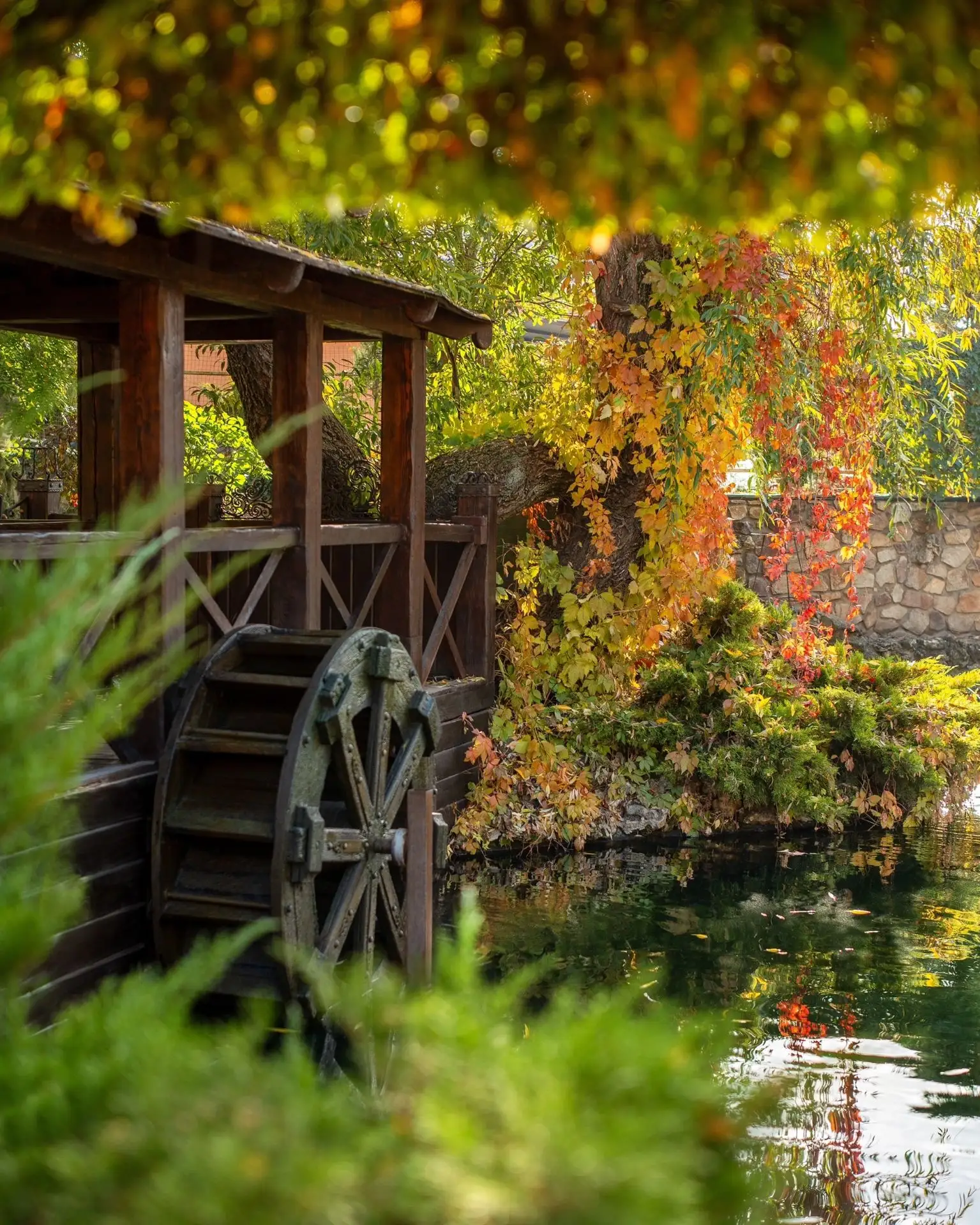 🍁 Доброго утра, друзья!