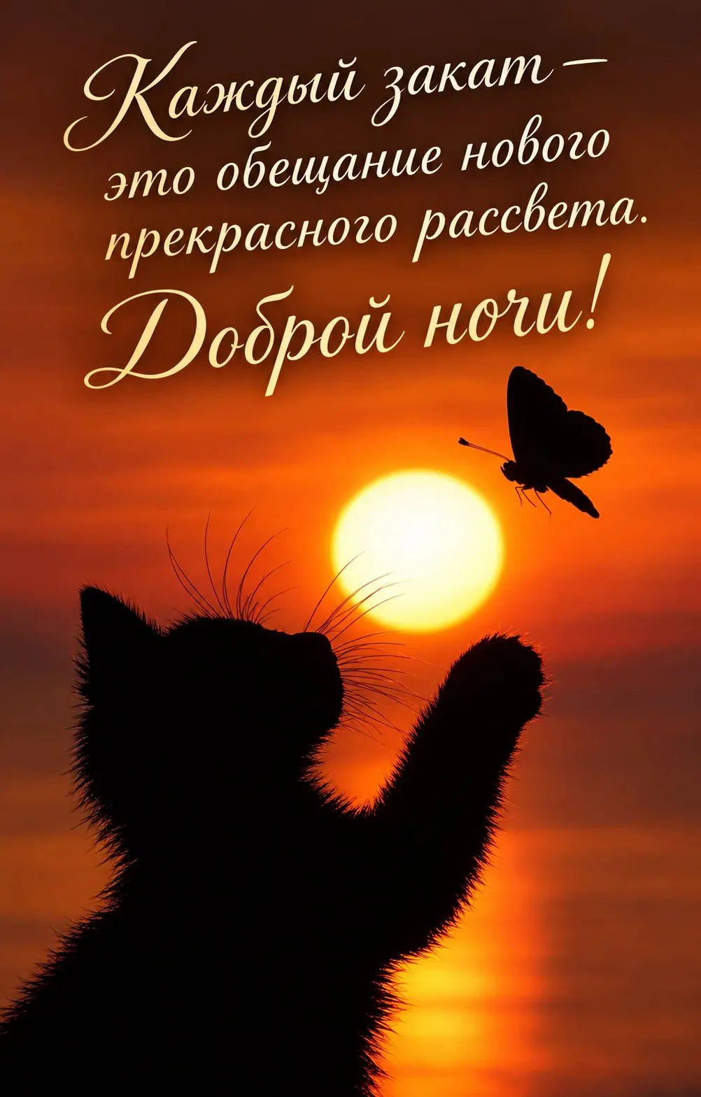 Наши каналы: