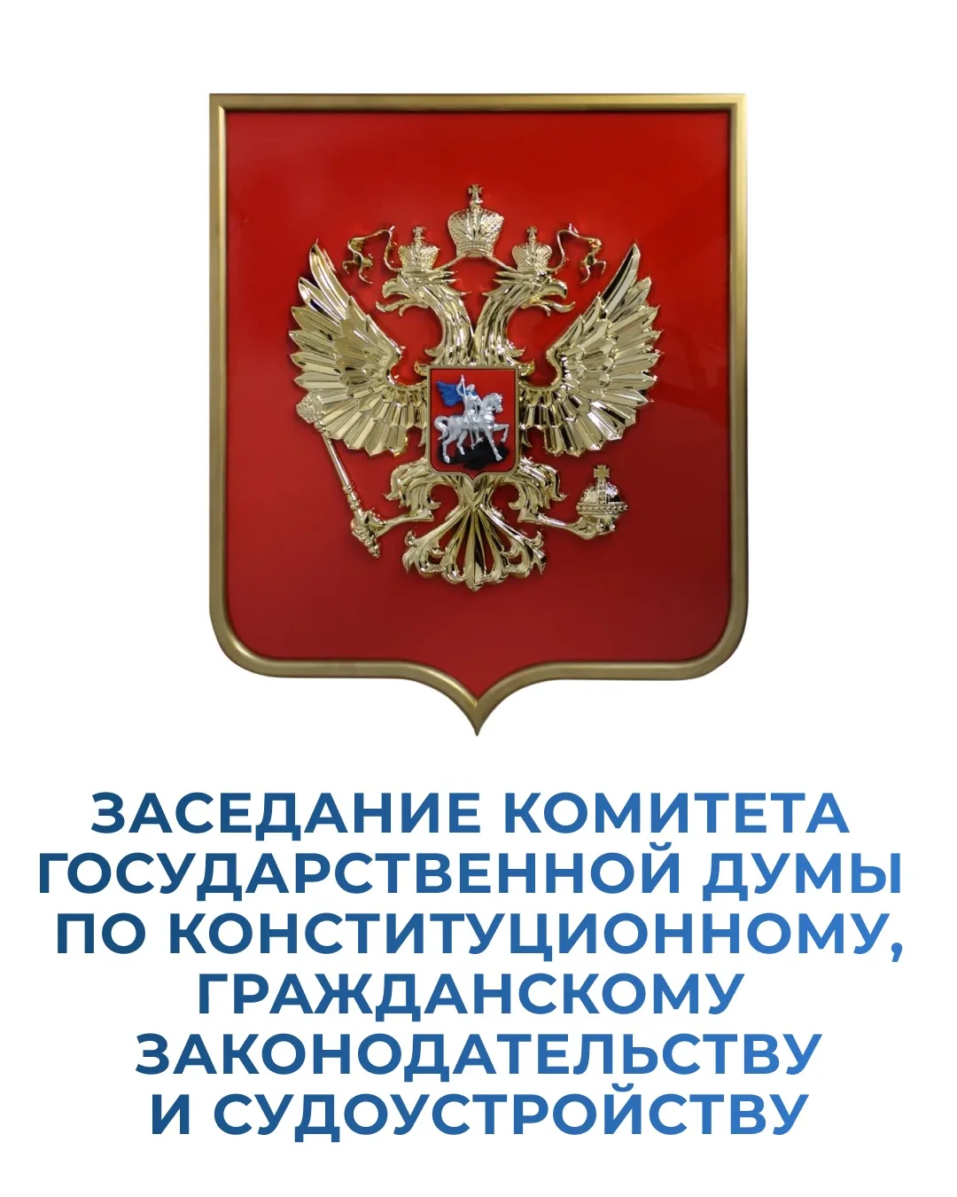 Сегодня приняла участие в заседании Комитета Государственной Думы по конституционному, ...
