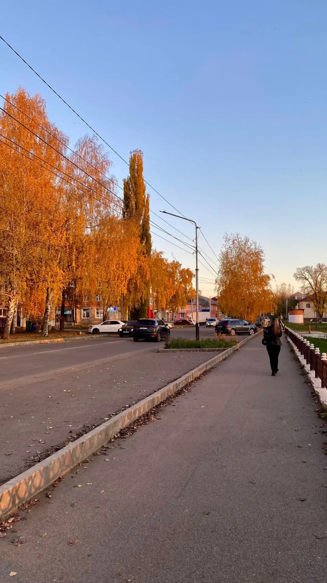 Хорошего дня! Фото Венеры З.