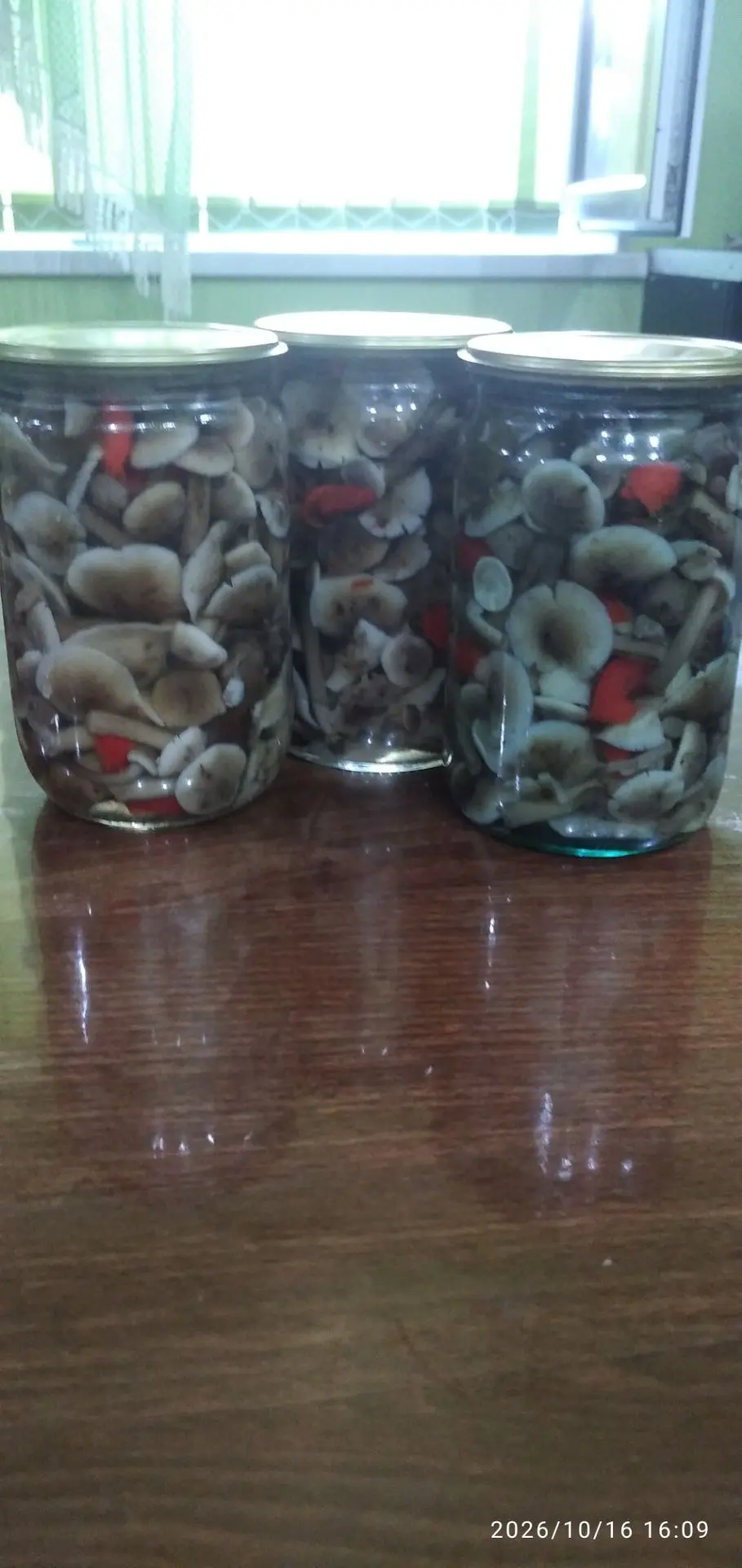 🍄 Продаю грибы этого года!