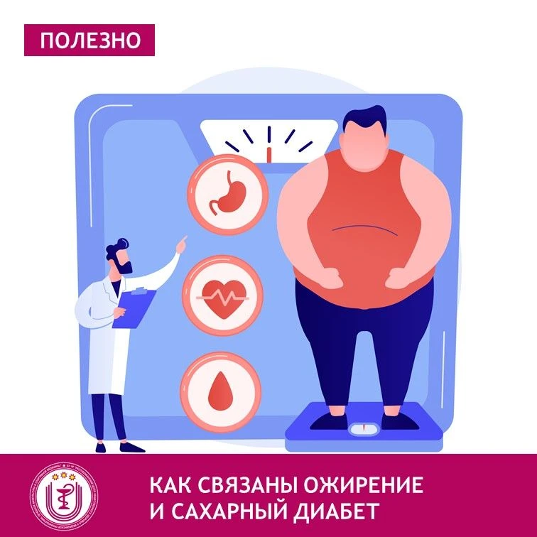 Не секрет, что современная пища, различные фастфуды, богатые углеводами, принимаемые в ...