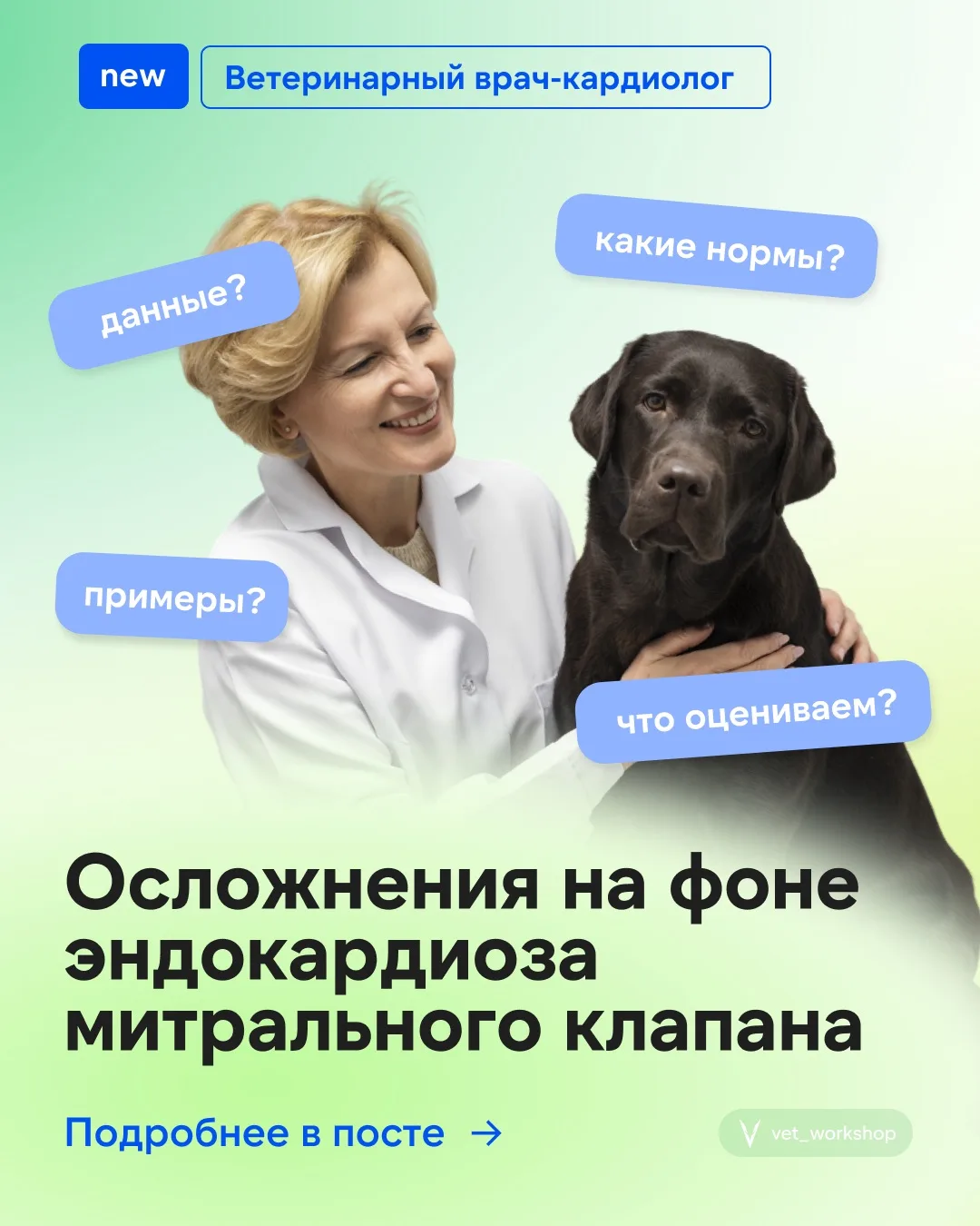 🎓  Осложнения на фоне эндокардиоза митрального клапана