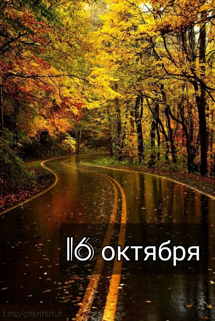 Праздники 16 октября 🗓️