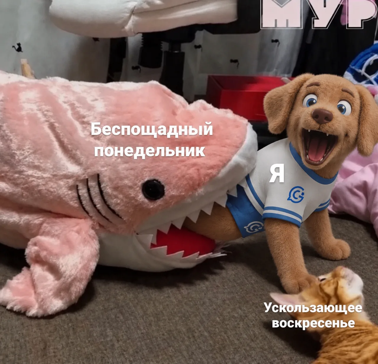 🐶 Состояние Бублика вечером воскресенья