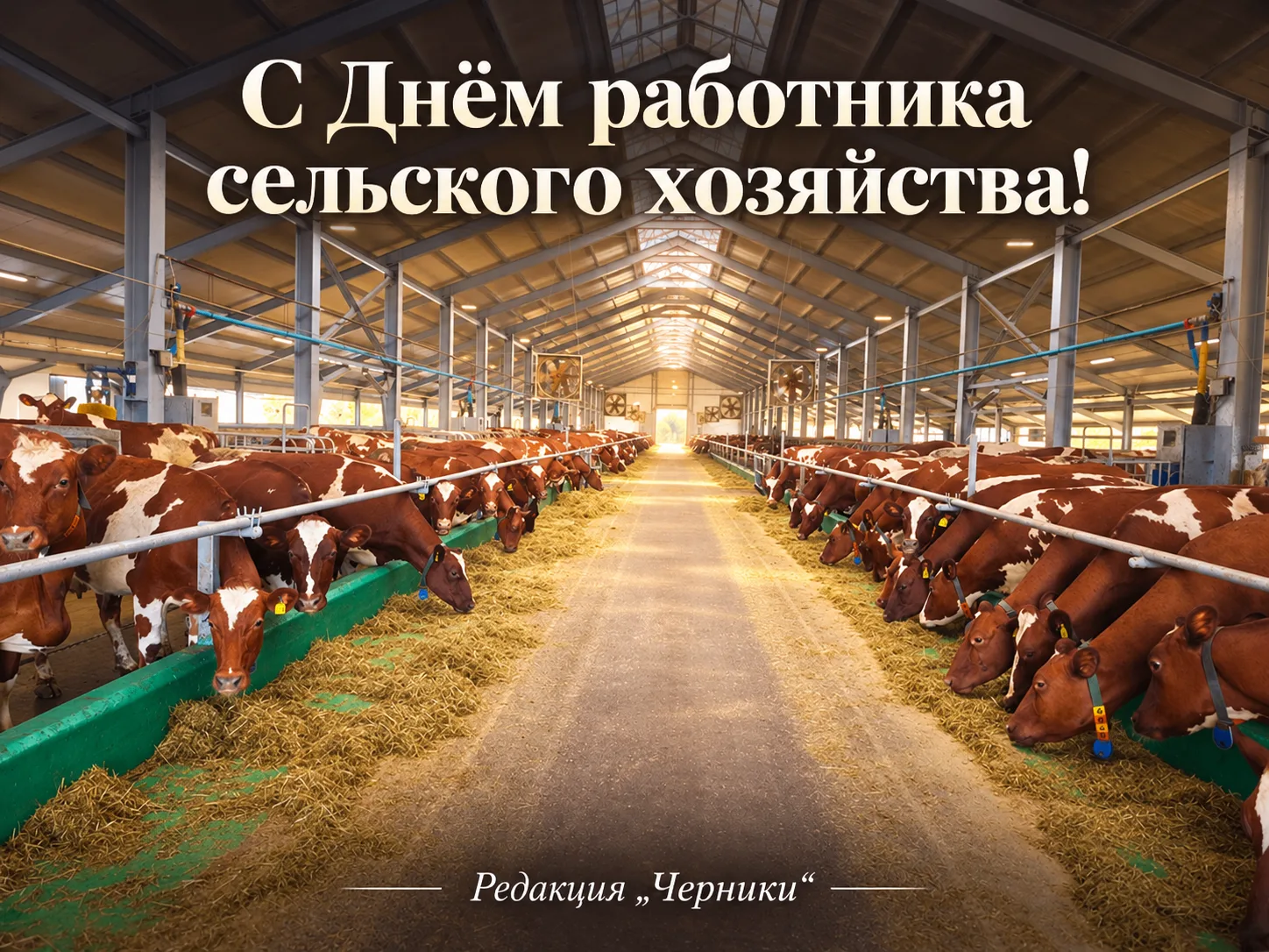 С праздником, труженики карельской земли!