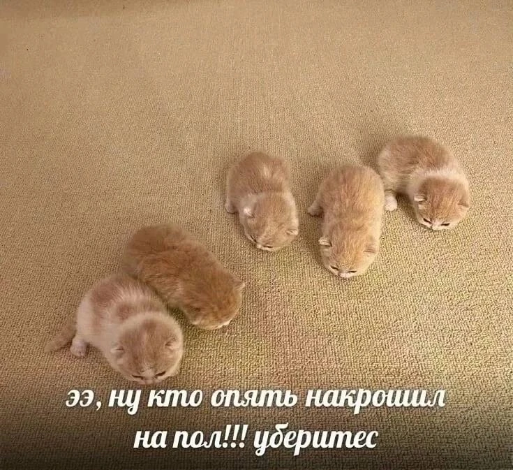 Подпишись на юмор 😂