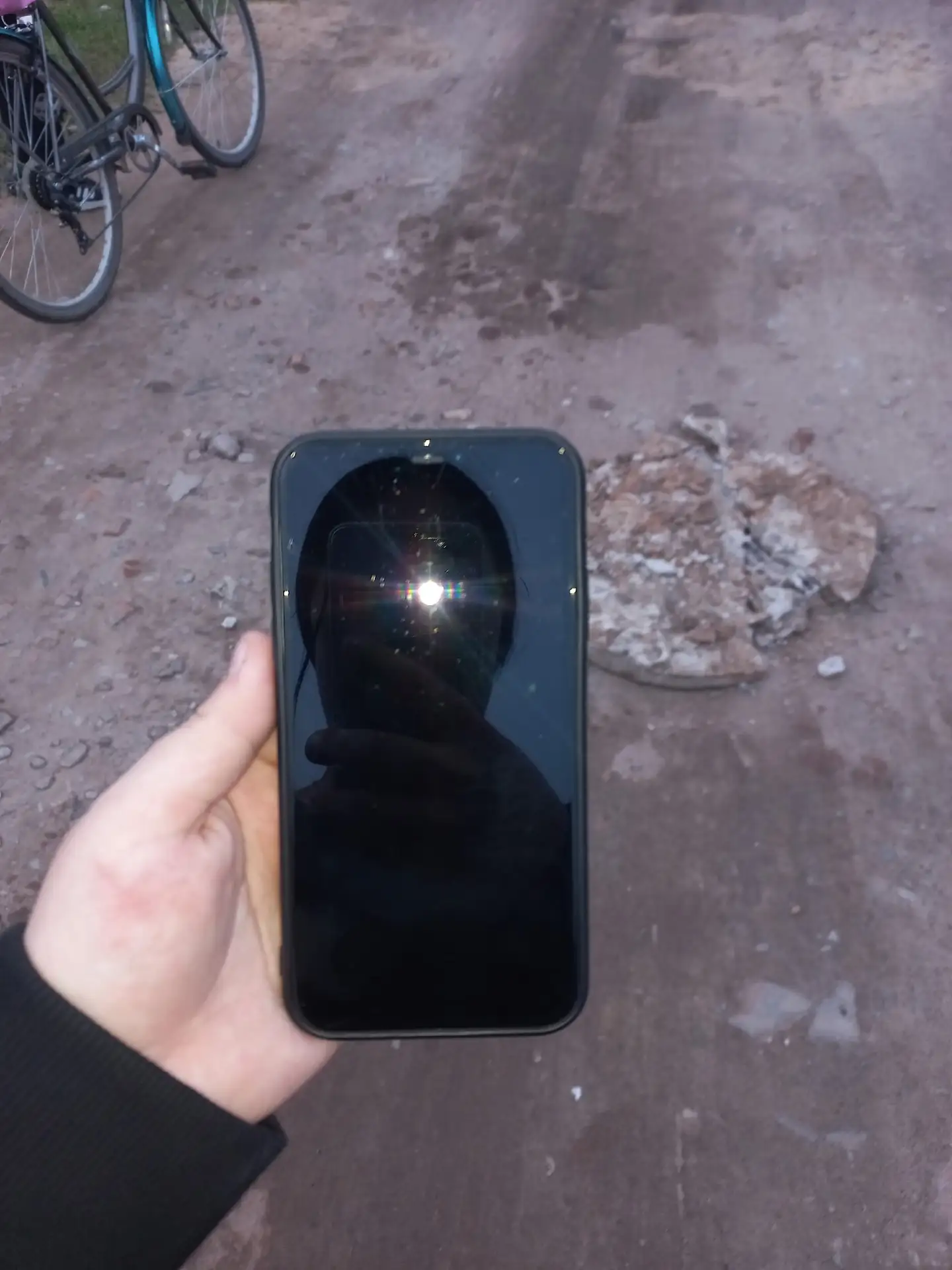 Чья потеряшка? Звоните по номеру телефона  89023156551