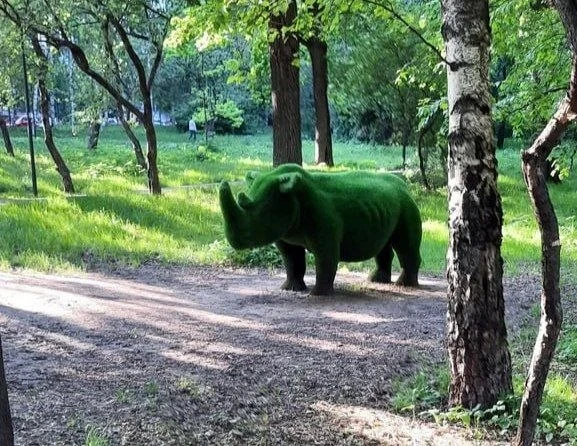 🦏 В Северных дубках можно встретить необычного носорога