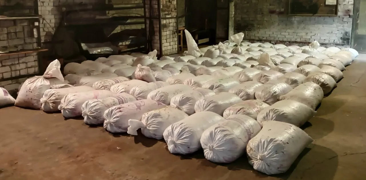 Продам клюкву. Нечищеная. 3 тонны. Сбор этой осени. Архангельская область, Верхнетоемск...