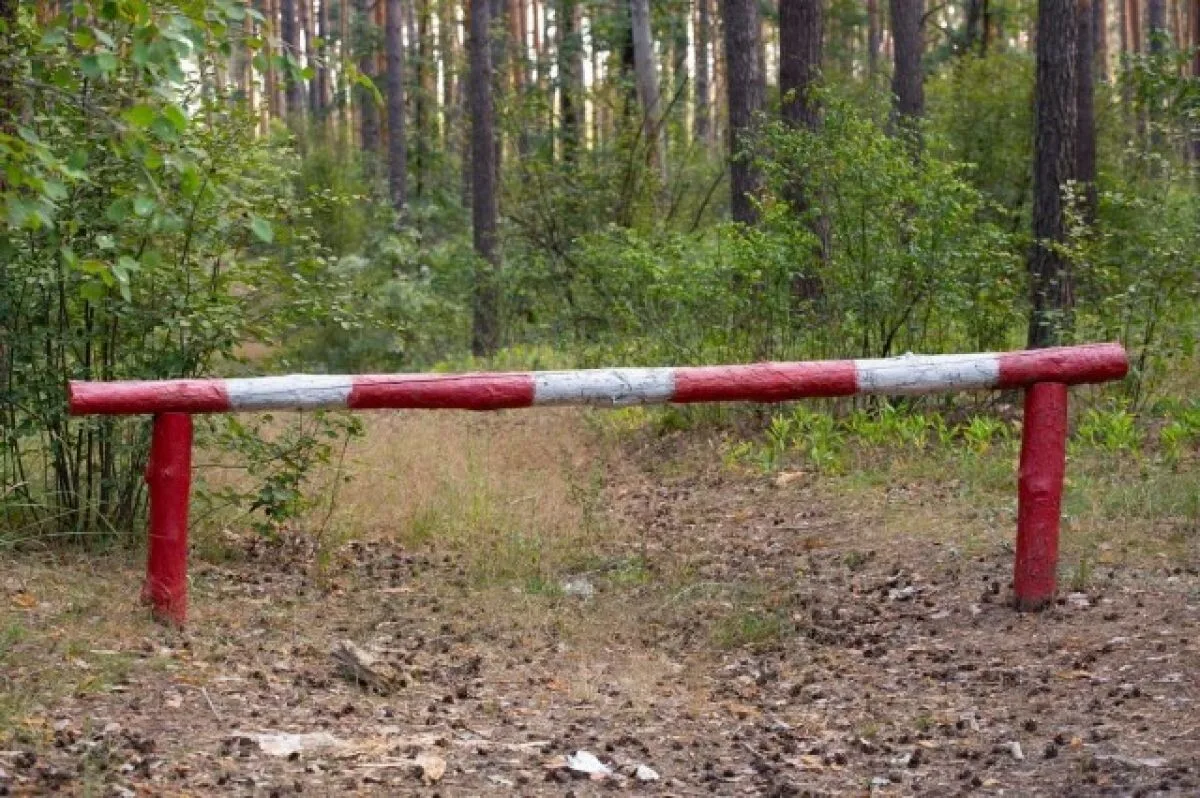 🌳 С 15 октября 2026 года в Рязанской области завершается пожароопасный сезон в лесах.