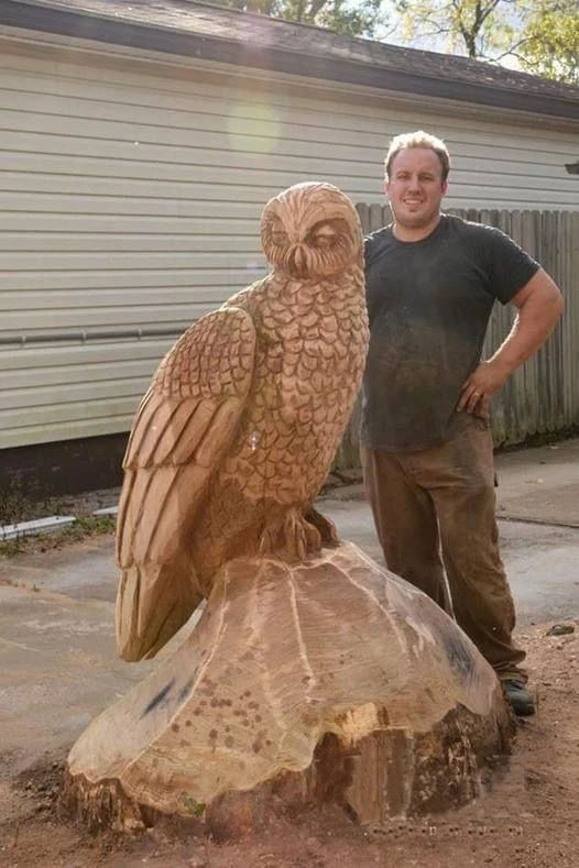 Крылатый страж леса 🦉