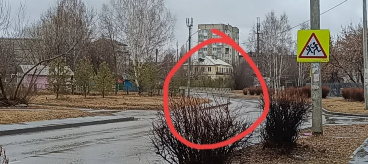 Пункт выдачи расположен   по адресу: