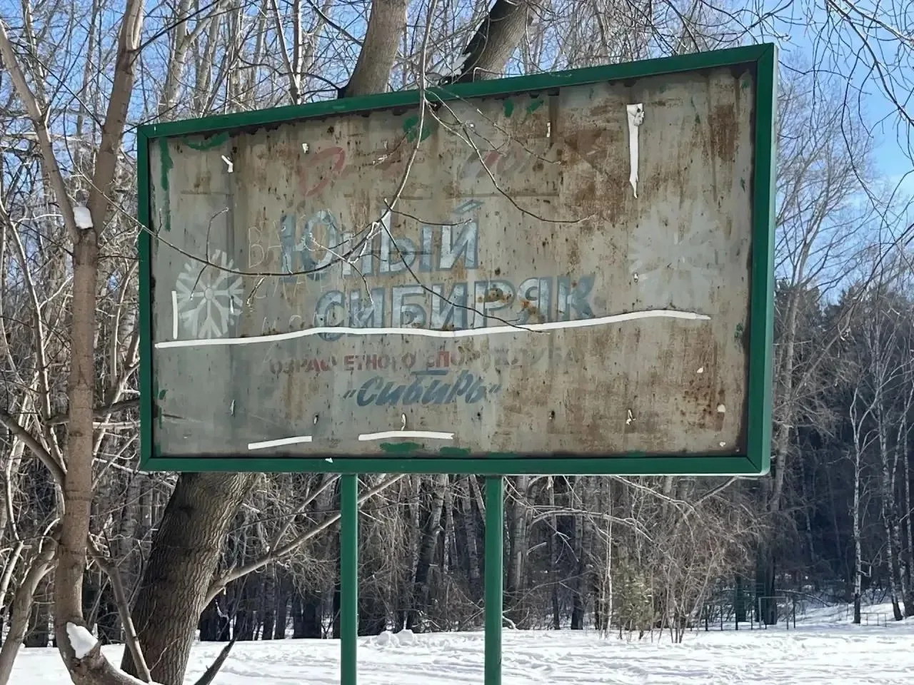 Сосновый бор сегодня превратился в точку жесткого противостояния. Недавно я столкнулся ...