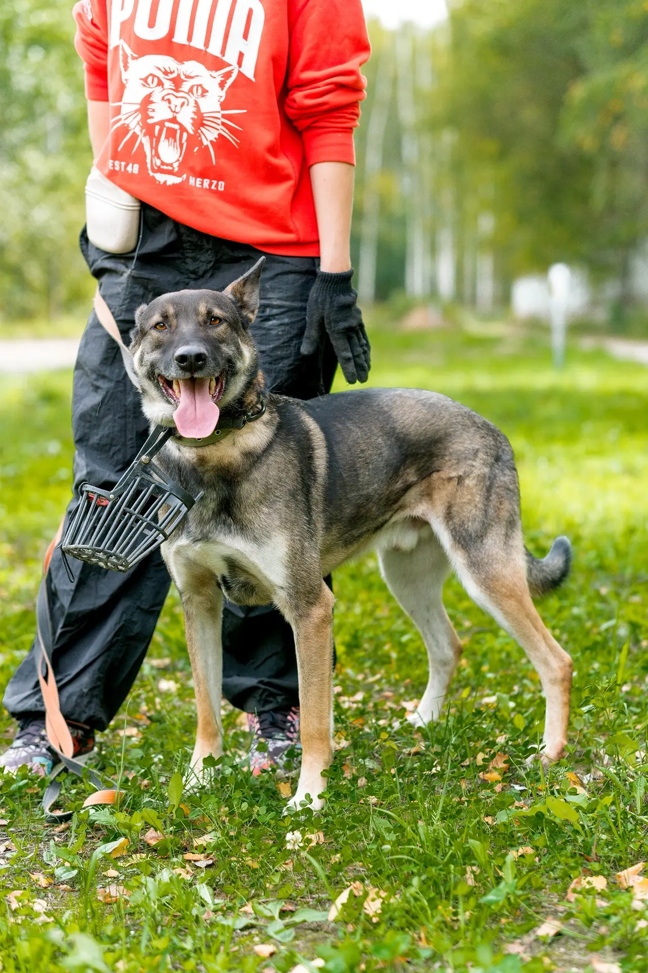 Портос ищет дом! 🐾