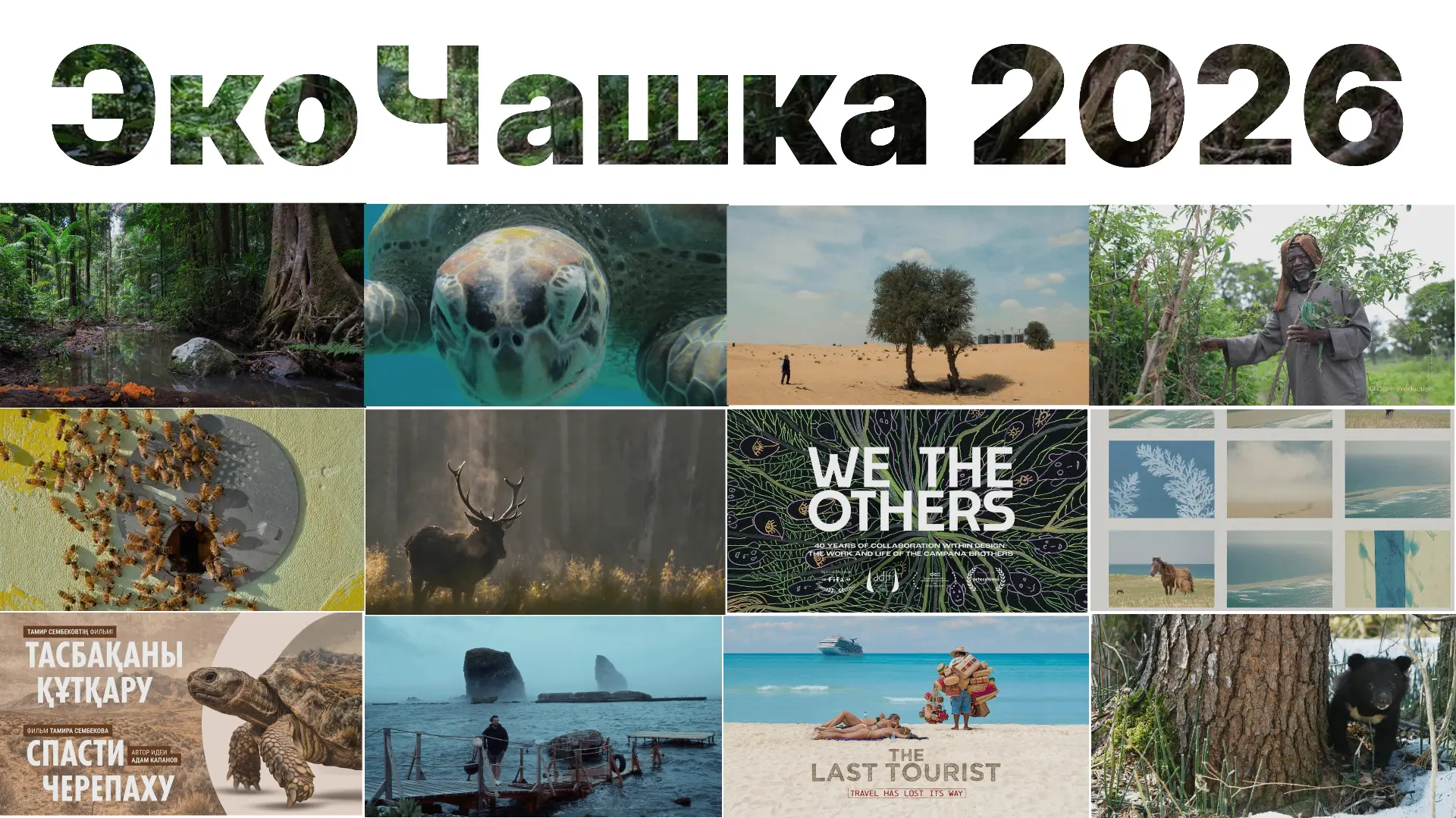 📽🌿Кавказский заповедник приглашает на фестиваль экологического кино «ЭкоЧашка»!