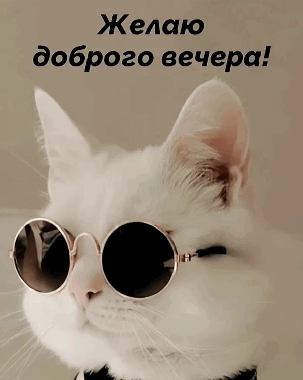👉 Открытки в MAX – подписывайтесь