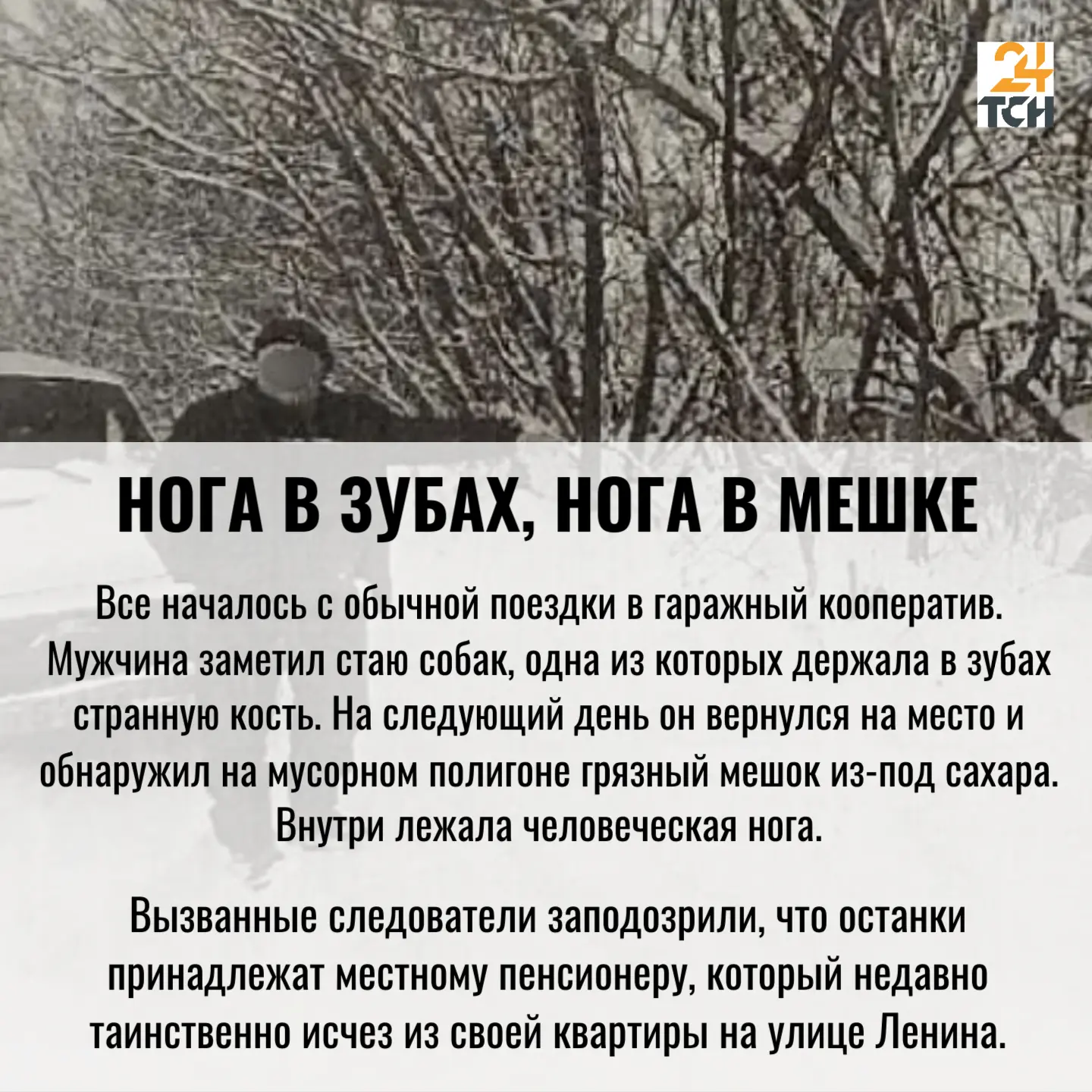В 2002-м на свалке в Алексине нашли человеческую ногу: дело раскрыли спустя четверть века