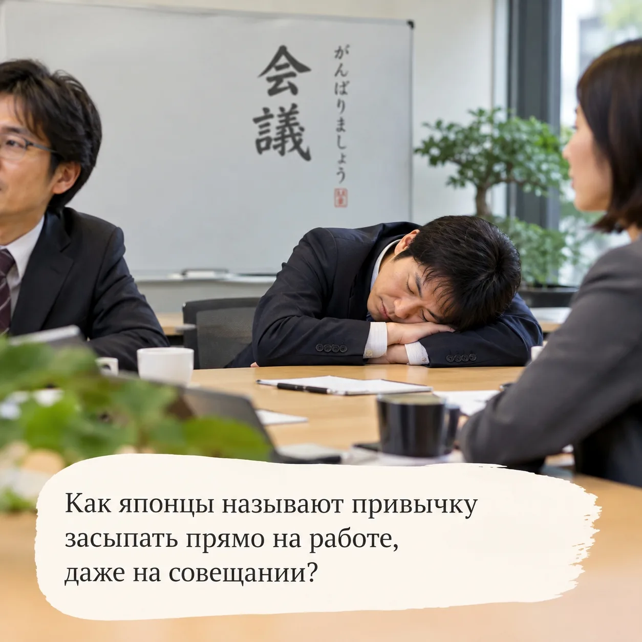 🔻Ответ на викторину🎎