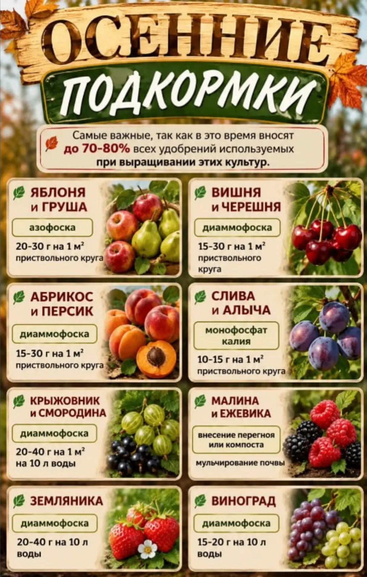 Правильная осенняя подкормка - залог урожая в следующем году!