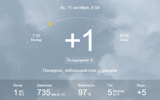 🌧️ Доброе утро, Киселёвск!