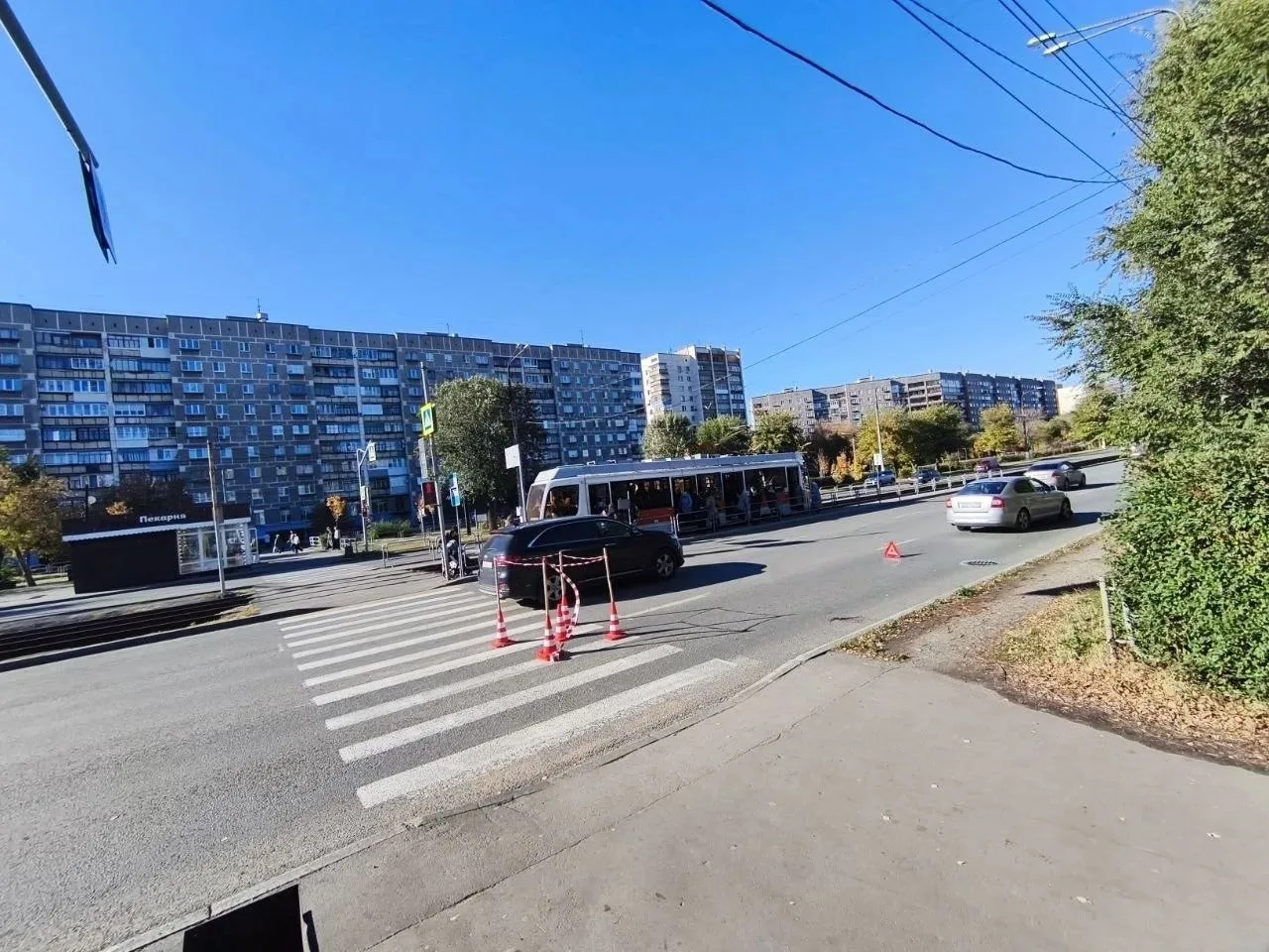 Автоледи сбила бабушку на пешеходном переходе.
