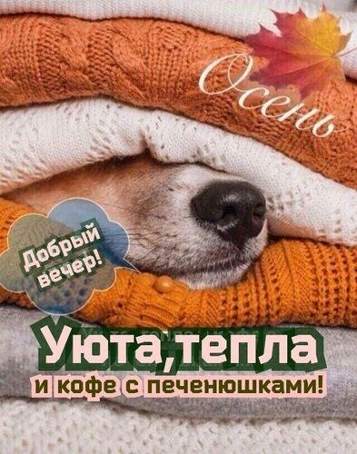 ЖИВЫЕ ОТКРЫТКИ🫶🏻