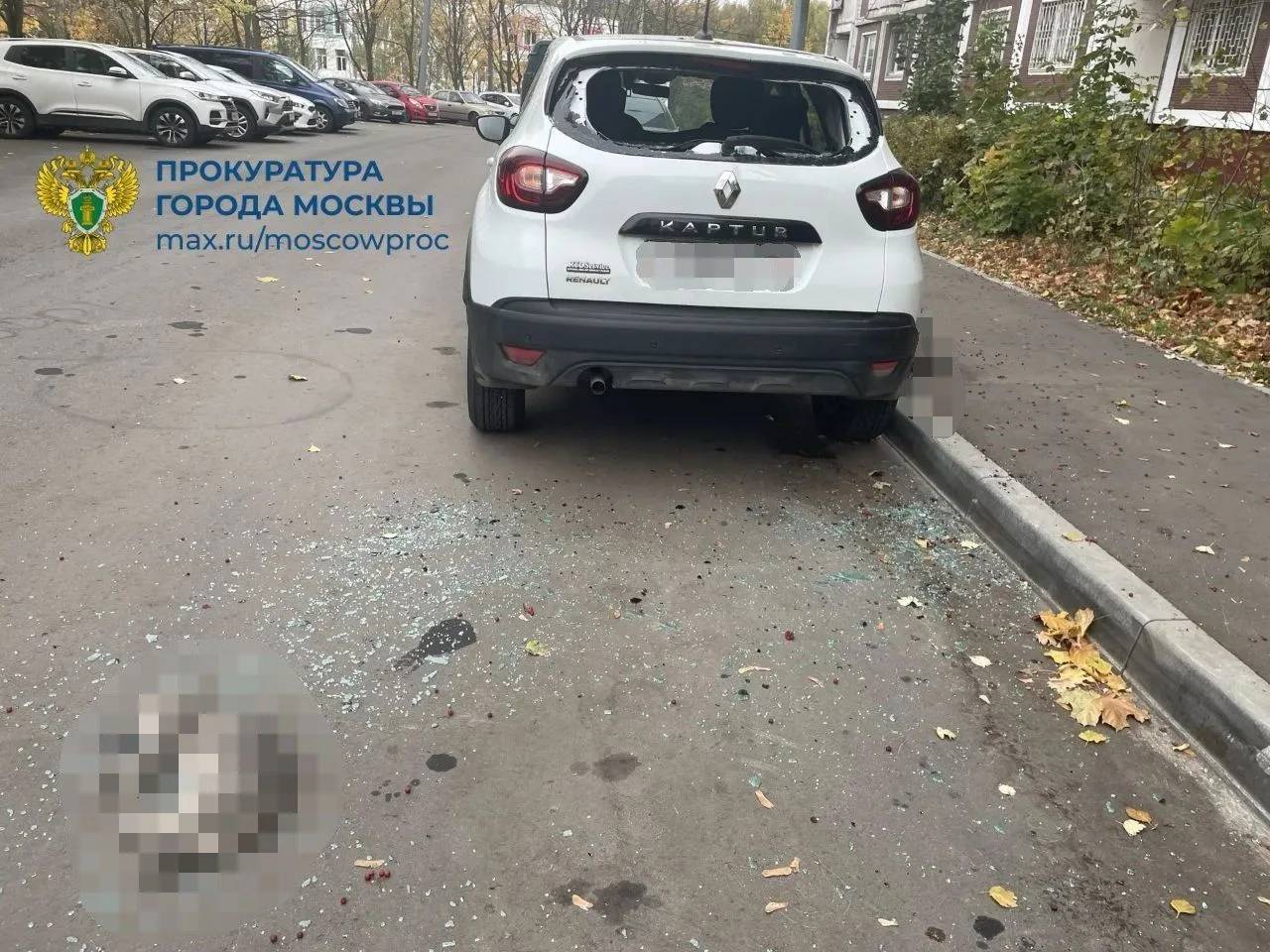 Мужчина выкинул четырех котов из окна 20-го этажа в Москве. Инцидент произошел на Литов...