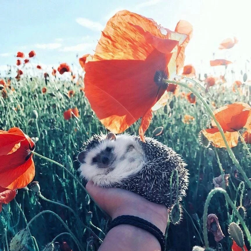 Аффирмация дня