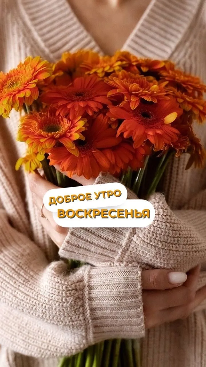Доброе утречко 🤗 Солнечного настроения 🌼🌼🌼