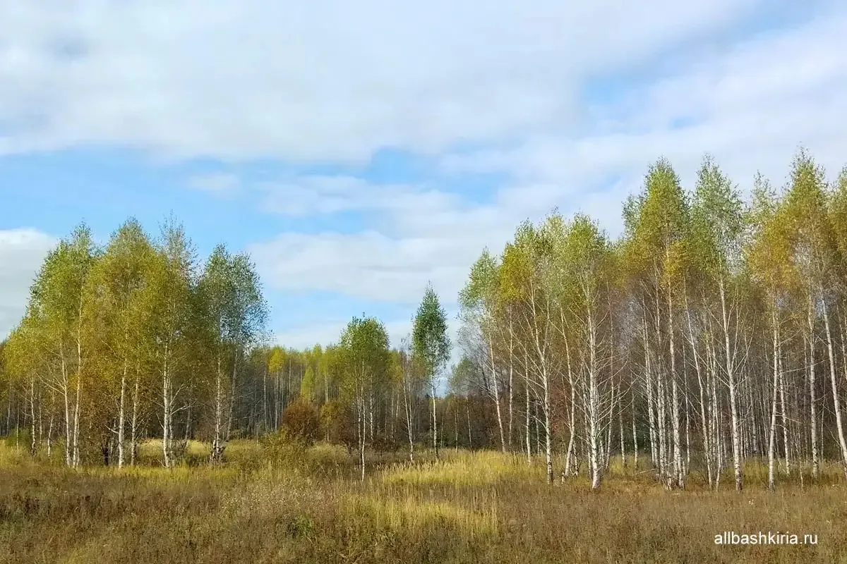 Погода в Башкирии 10 октября: без осадков, утром возможен туман