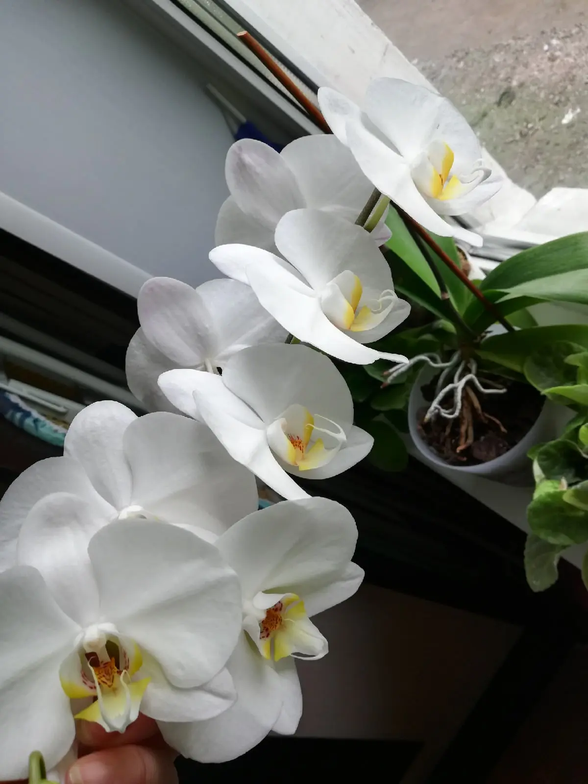 Фото