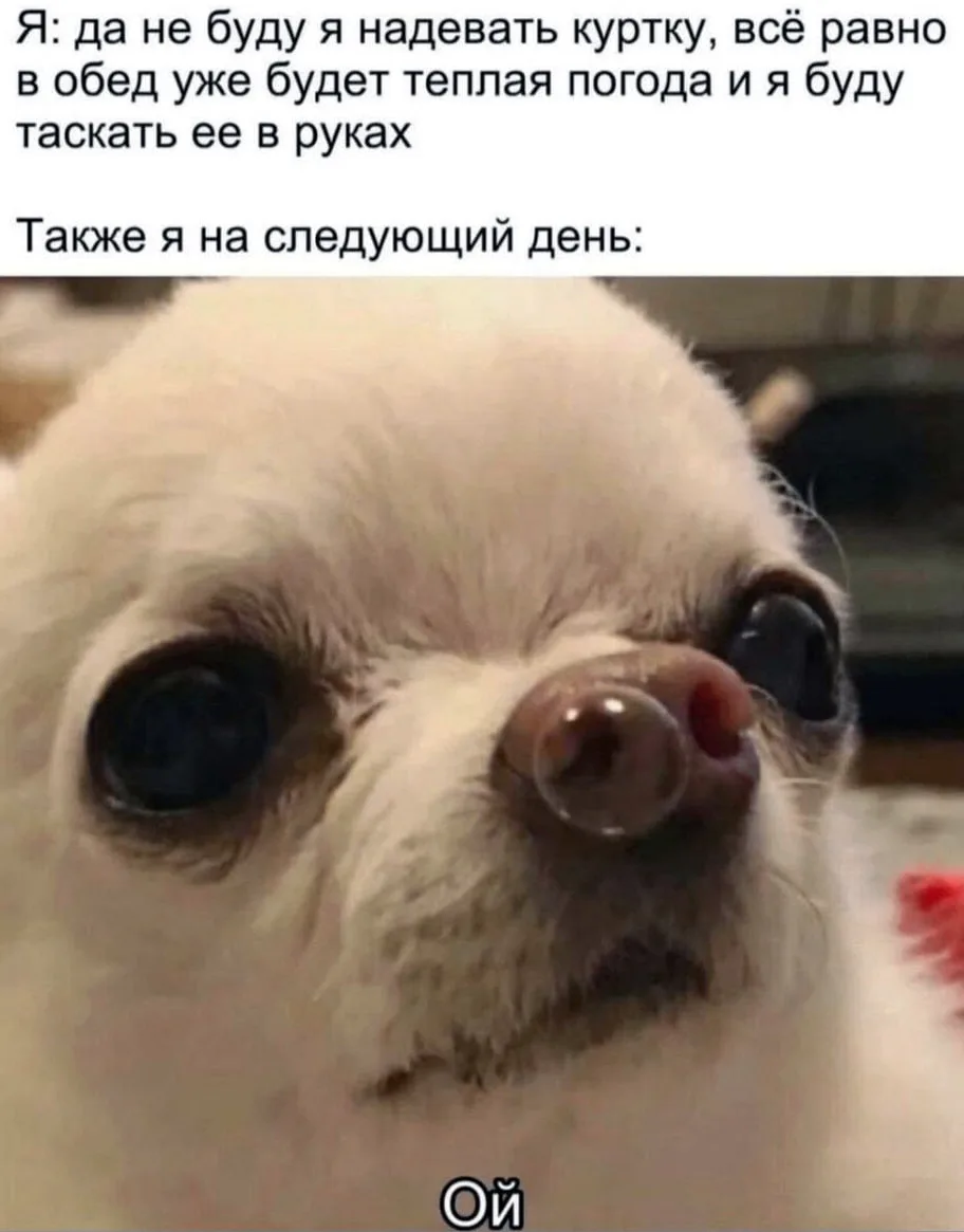 В эти выходные в Саранске будет тепло
