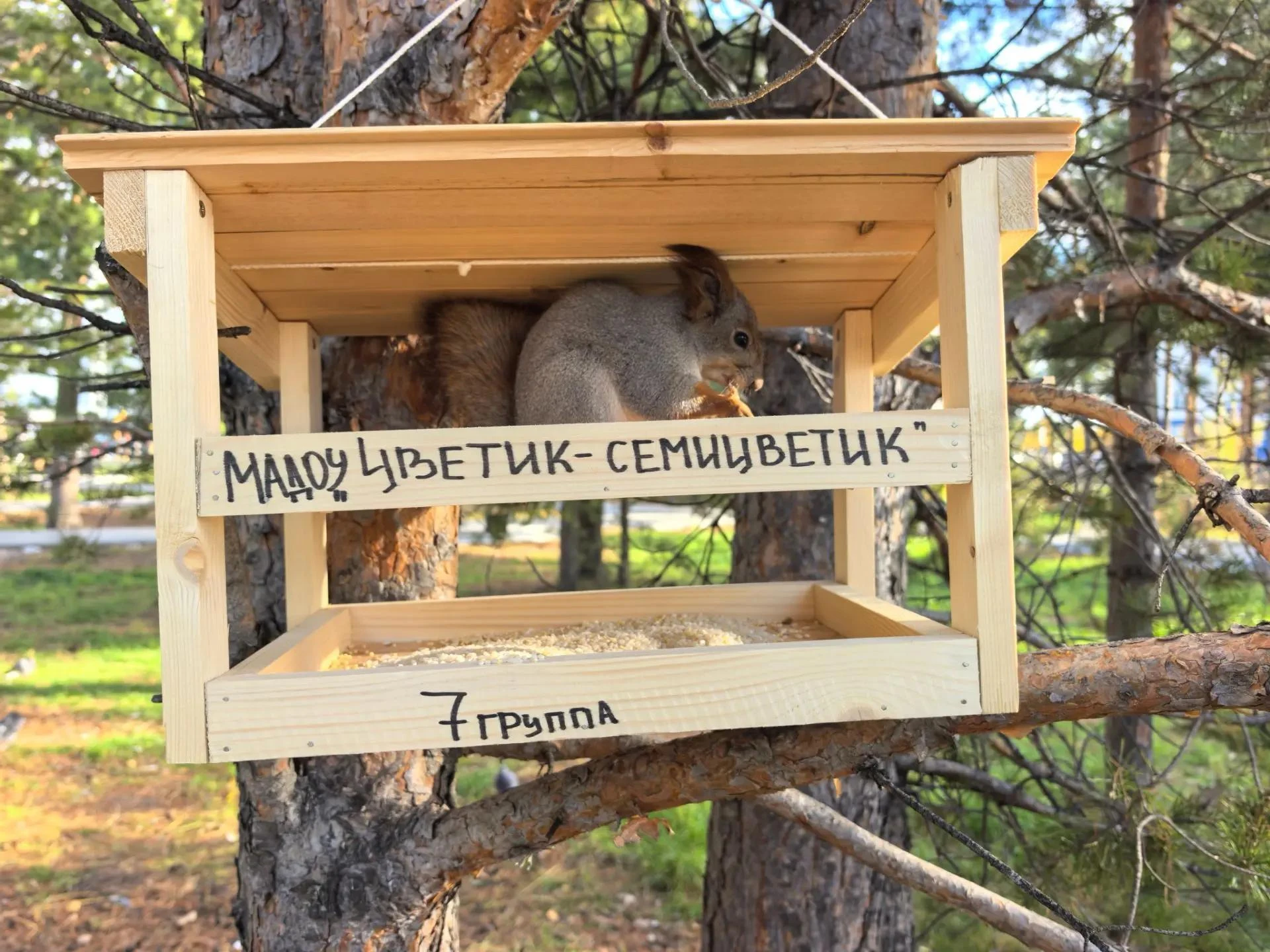 — Привет, я та самая белочка! 🐿️