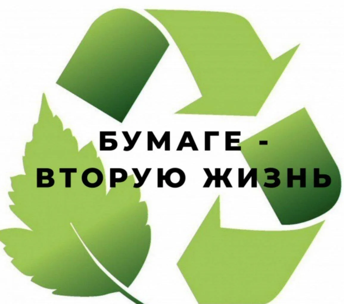 📊♻ ИТОГИ СБОРА МАКУЛАТУРЫ В ШКОЛЕ! ♻📊