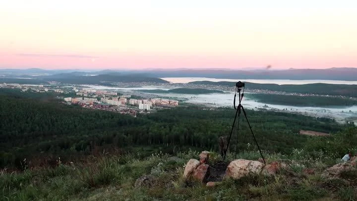 🐻 Медведь вышел из леса в районе Северного кладбища и разорил пасеку — об этом сообщил...