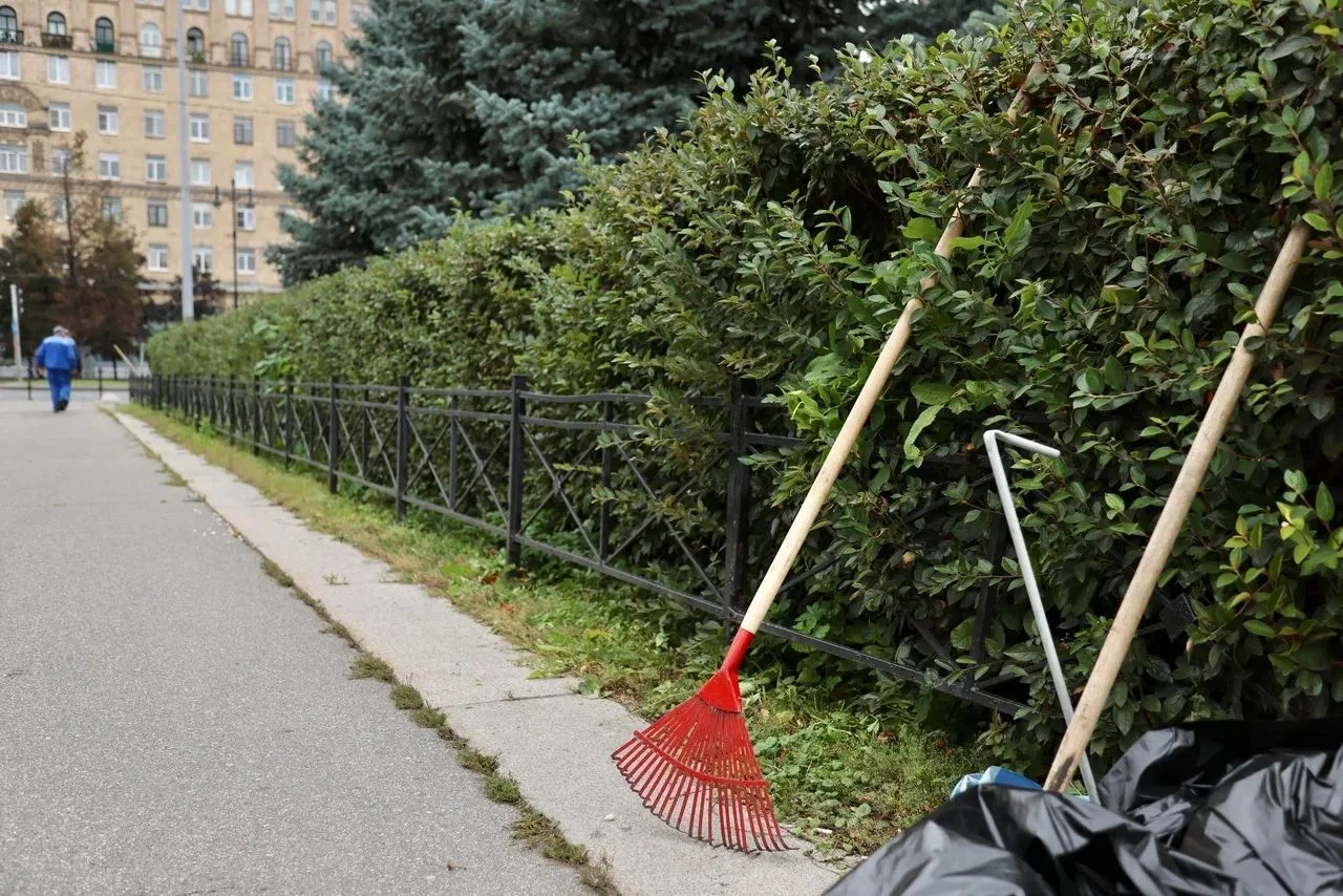 Общегородской «Добрый субботник» стартует в Петербурге в 10:00 в субботу, 17 октября. О...
