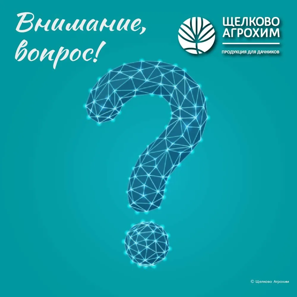 Друзья, а вы знали, что один из самых привычных нам овощей изначально был совсем другог...
