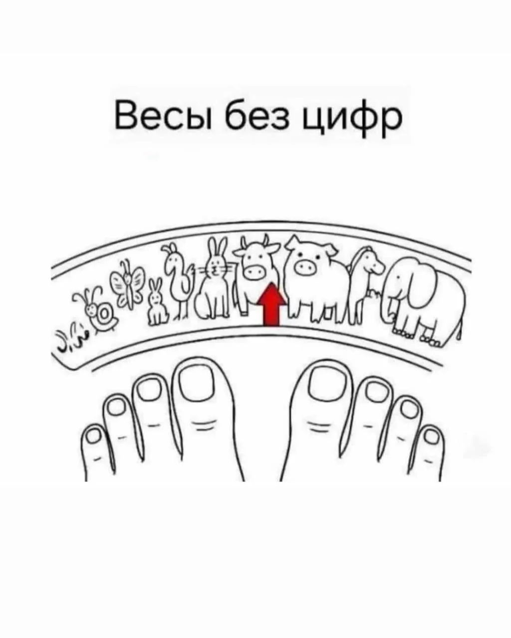Улётные приколы - Подписаться
