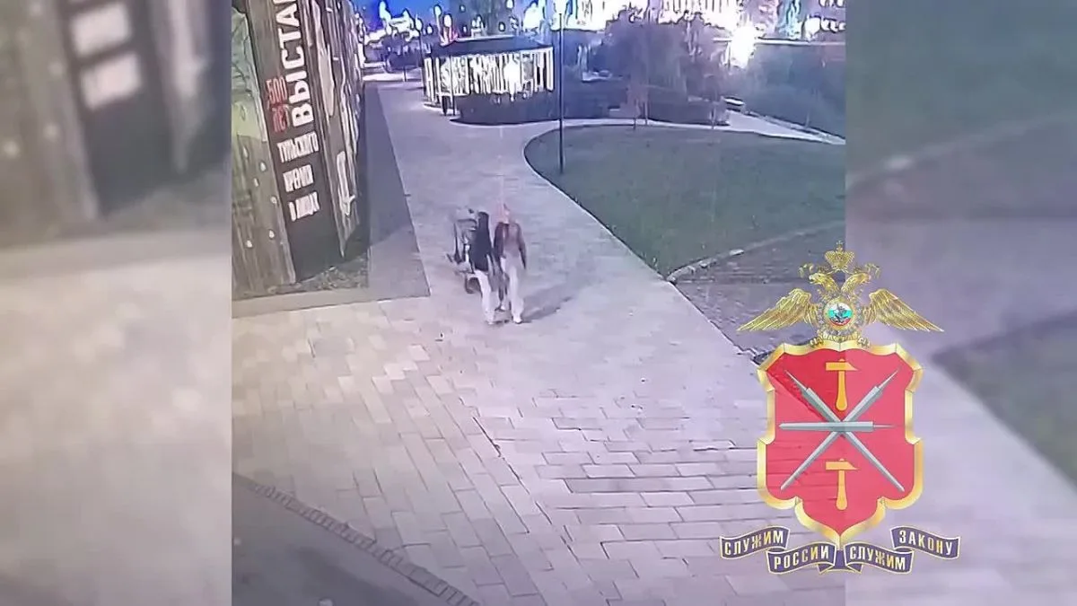 📌 Тулячки на тележке увезли из магазина на улице Металлистов чайник и мебель