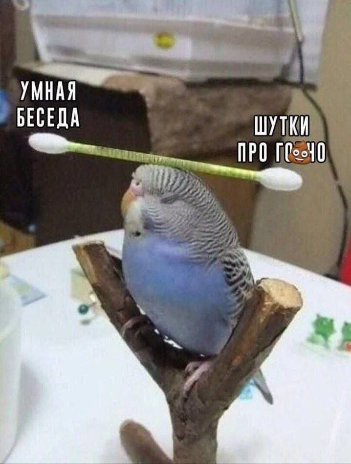 Пусть тут будет чат на свободную тему.