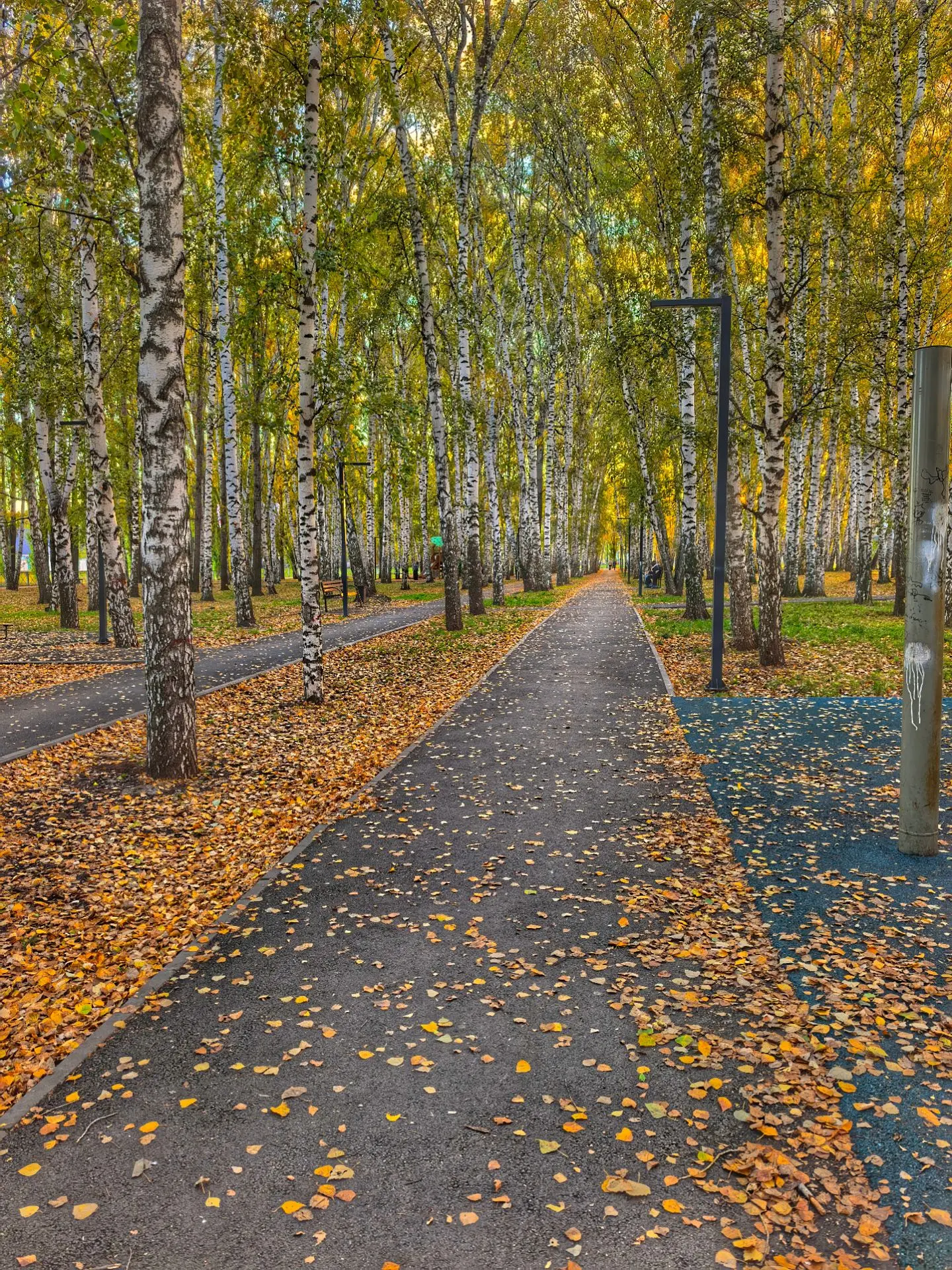 Красота родного города 🫶