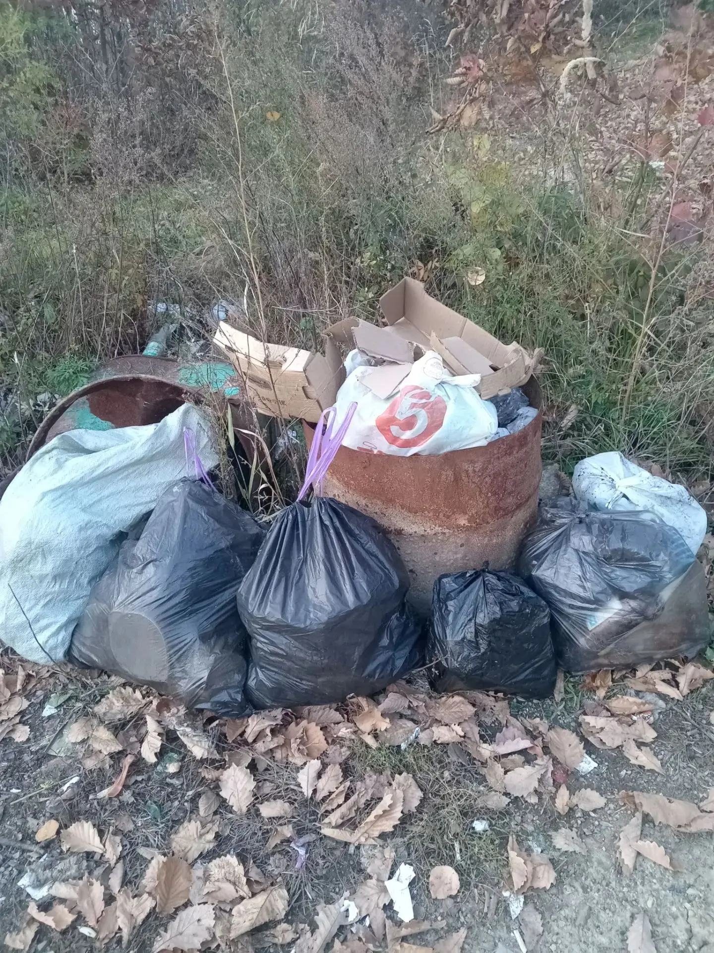 Добрый вечер. Товарищи отдыхающие, когда едете на природу, собирайте свой мусор в мешки...