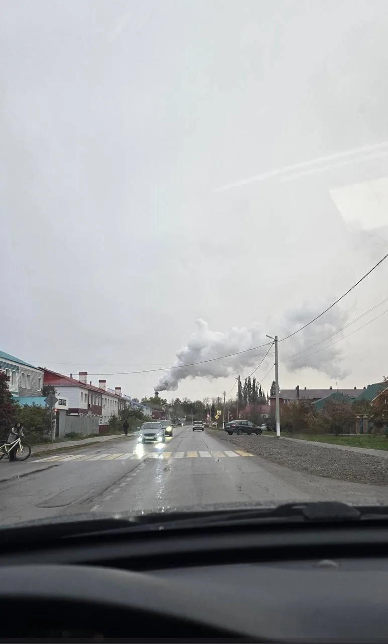 Провести внеплановую проверку Буинского сахарного завода на предмет соблюдения норм выб...