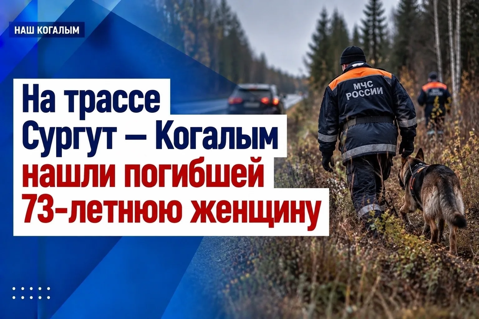 Трагедией завершились поиски пожилой женщины, пропавшей в лесу неподалёку от автодороги...