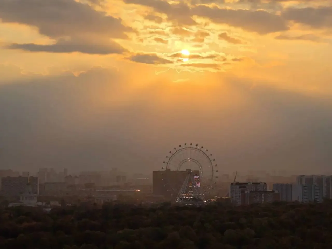 🌡Прошедшая ночь стала самой теплой в Москве за 45 лет.